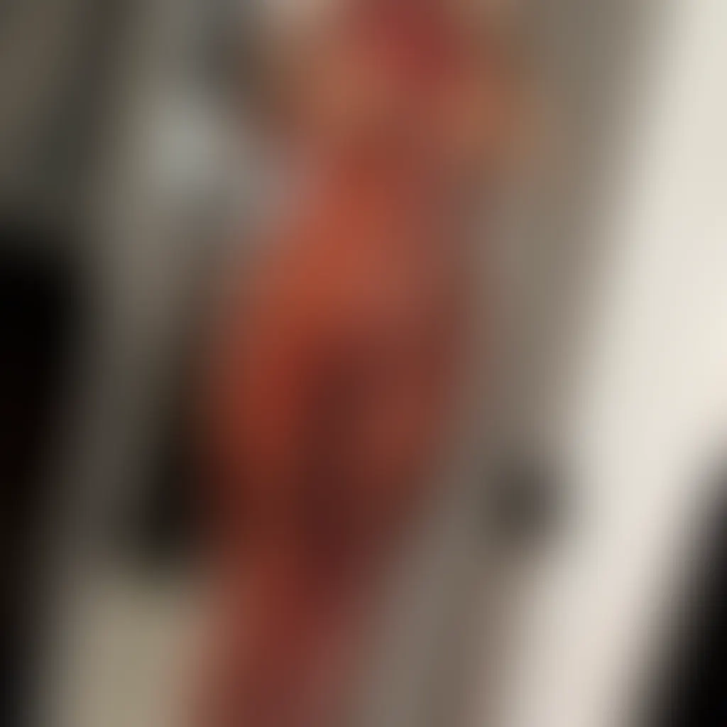 Slide image 3
