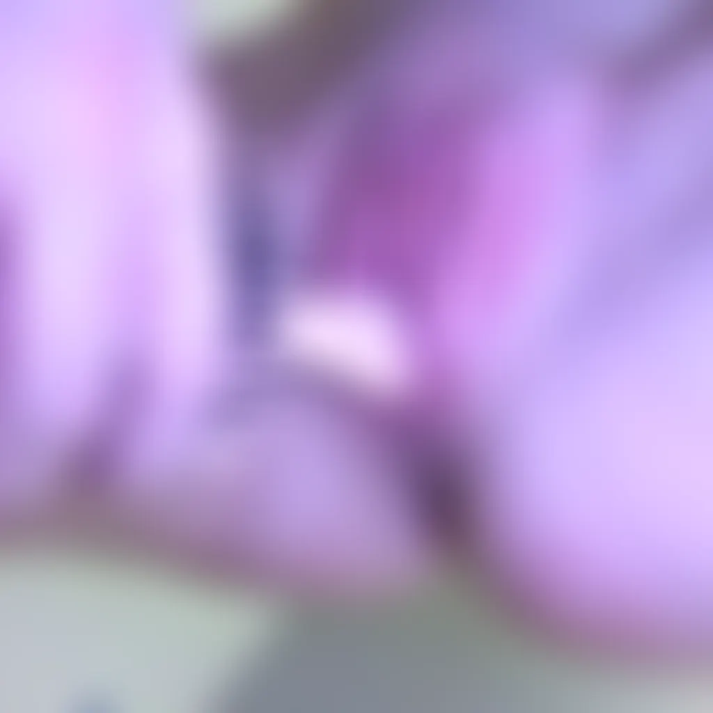 Slide image 2