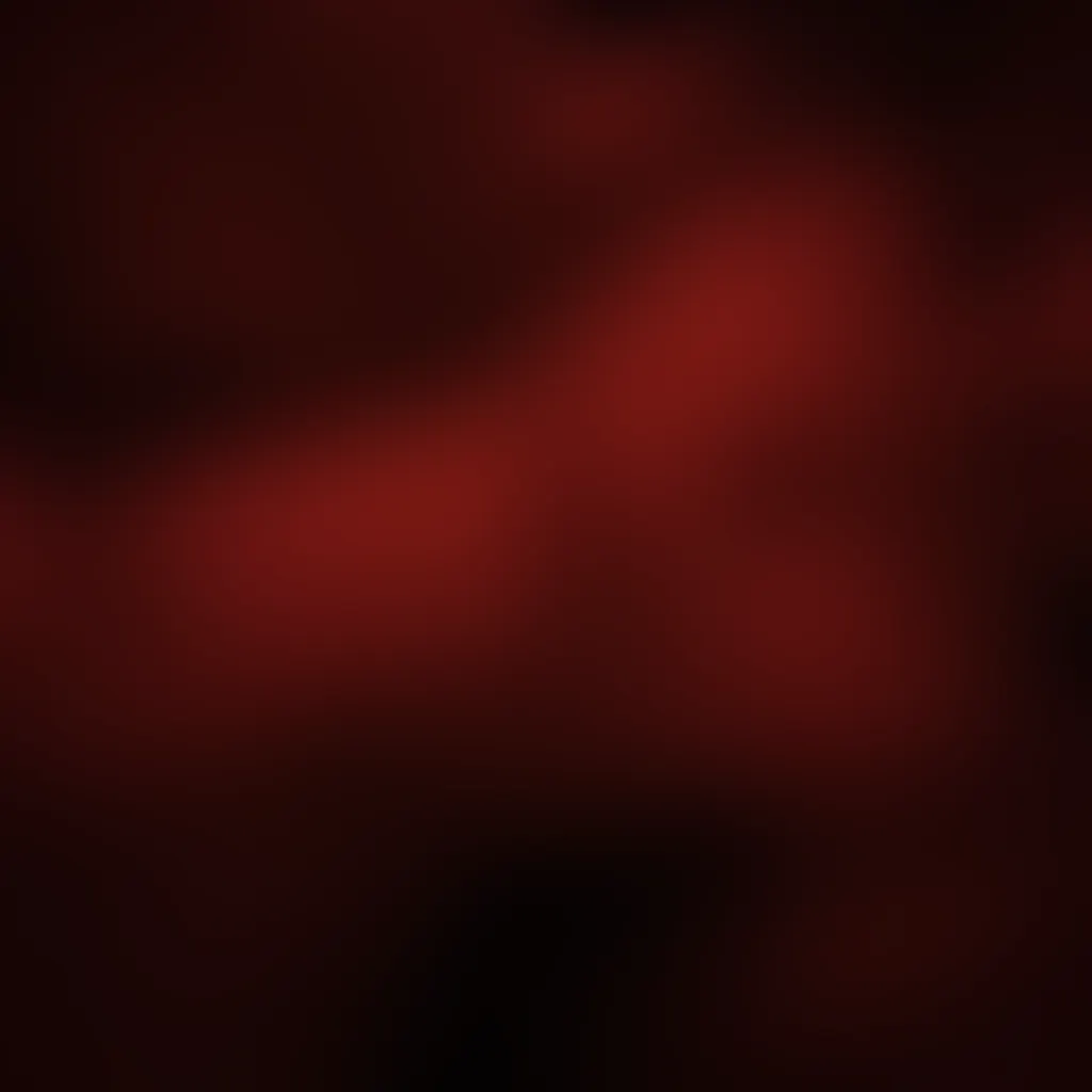Slide image 2