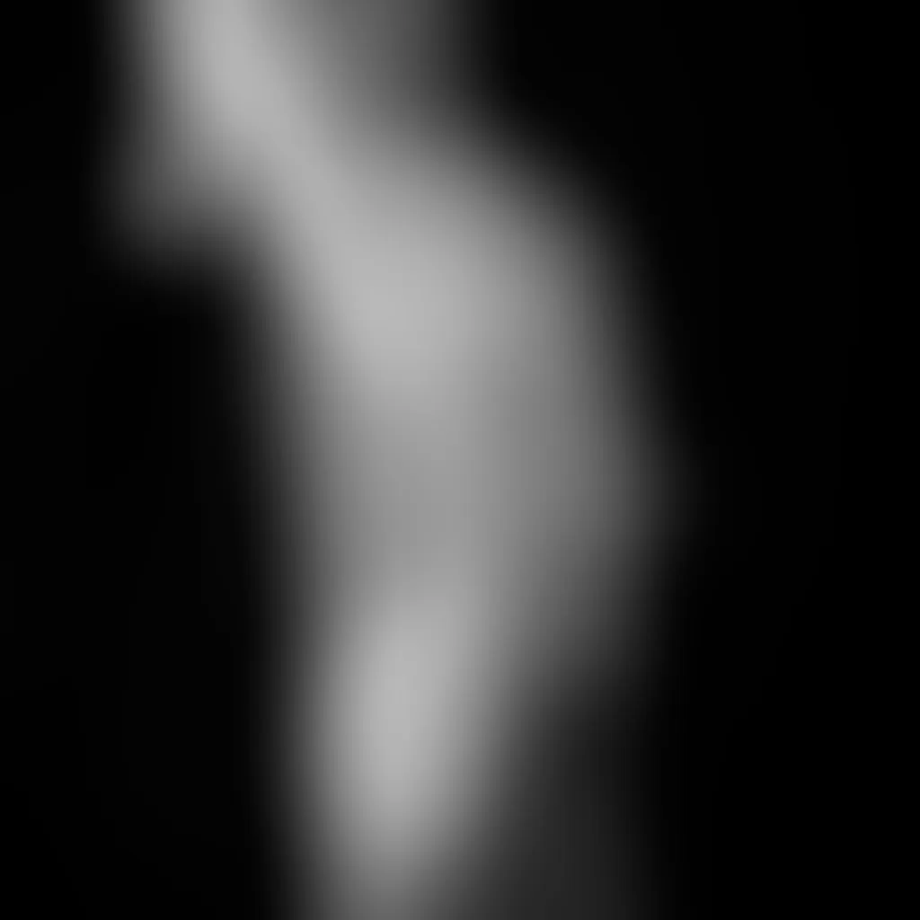 Slide image 2