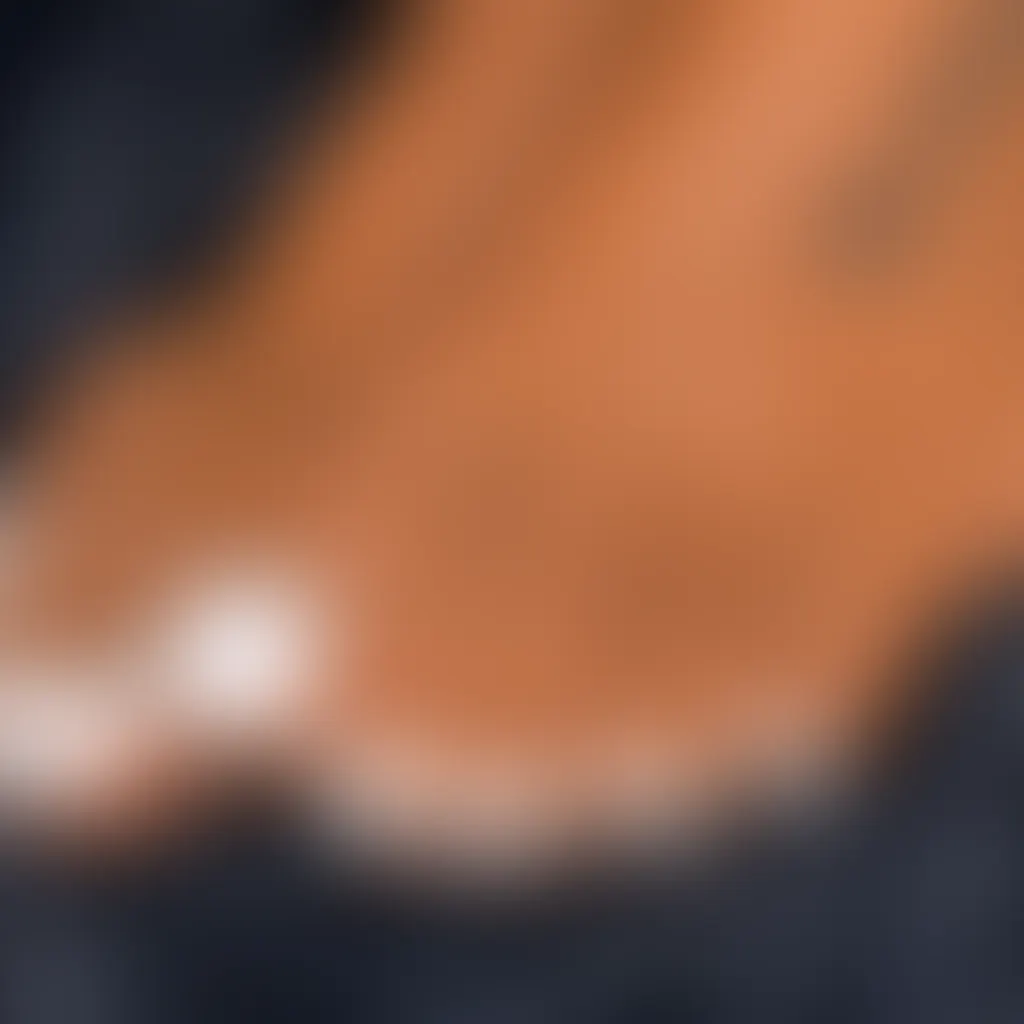Slide image 1