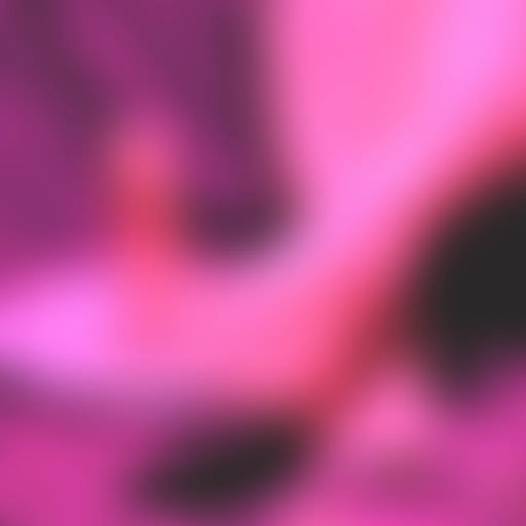 Slide image 4