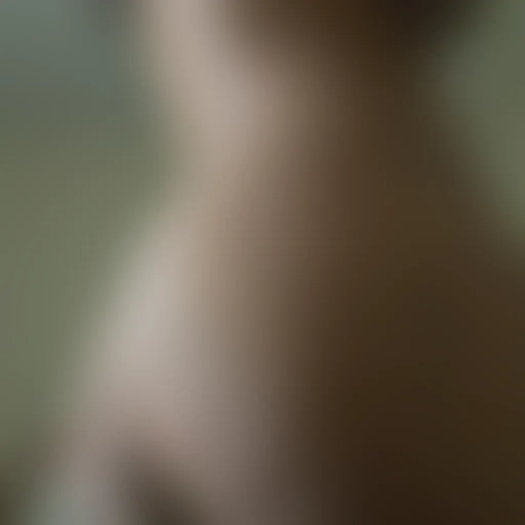 Slide image 8