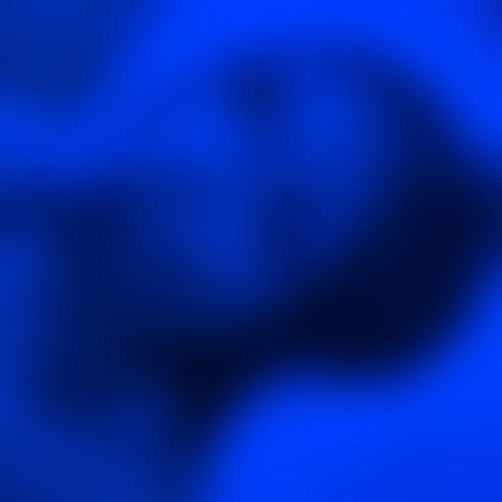 Slide image 8