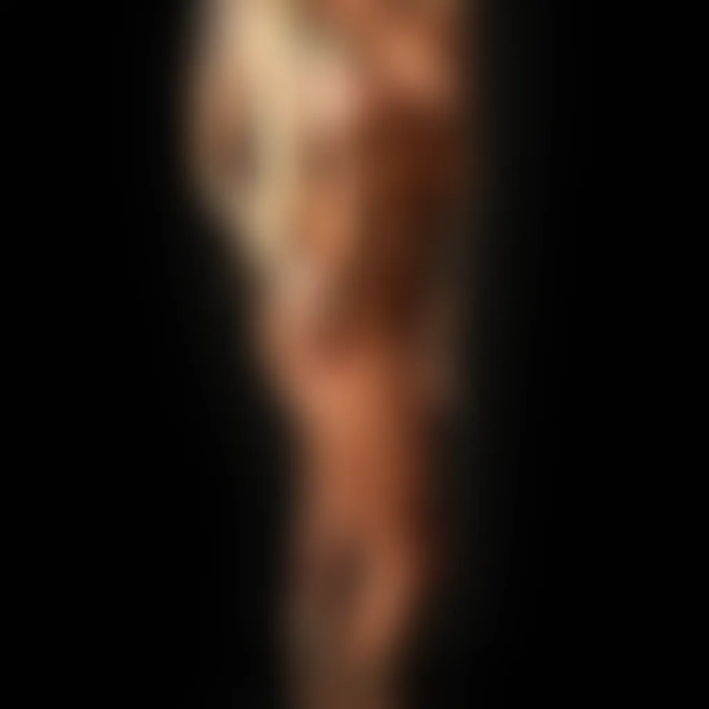 Slide image 1