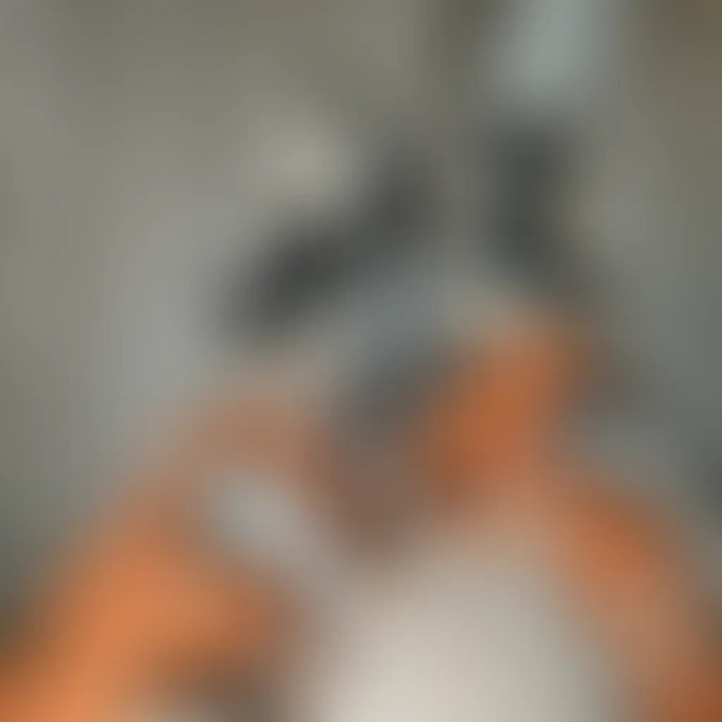 Slide image 7