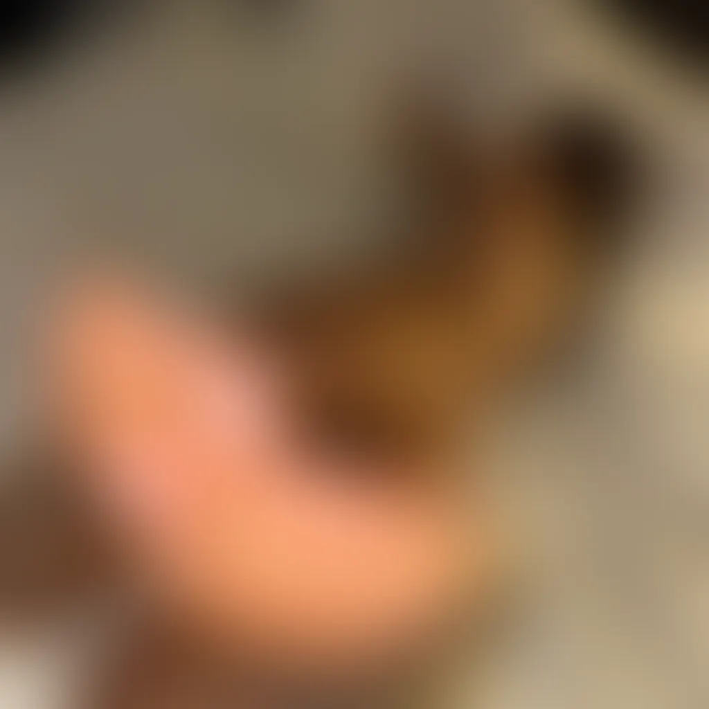 Slide image 4