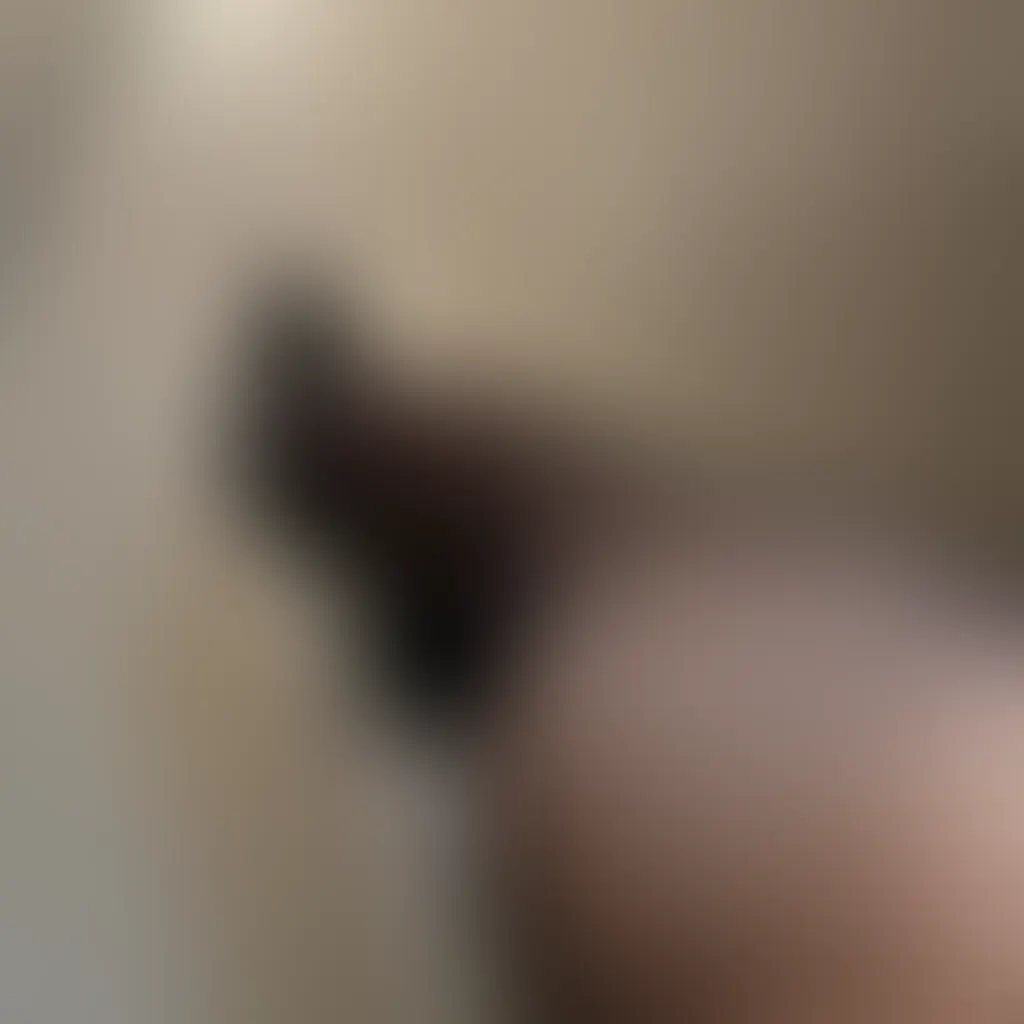 Slide image 2