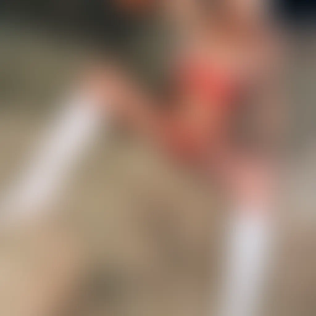 Slide image 4