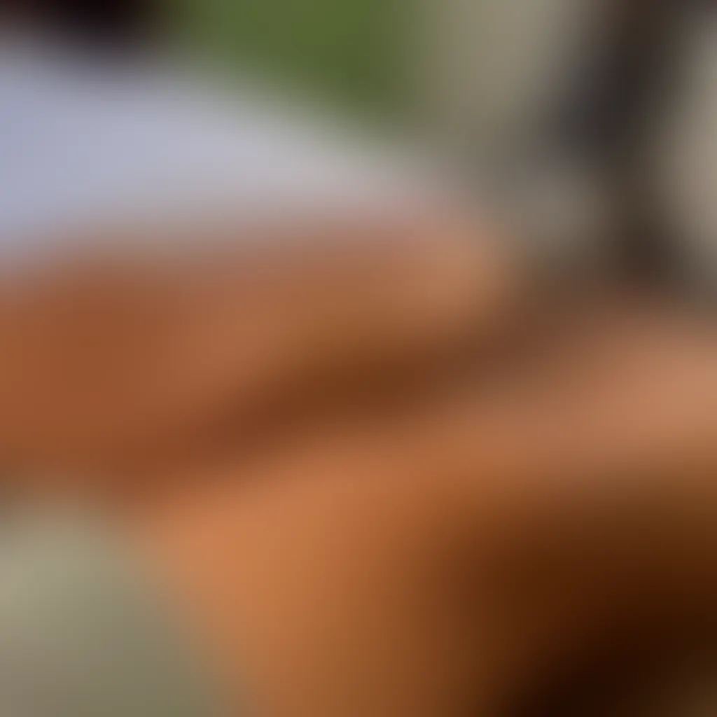 Slide image 2
