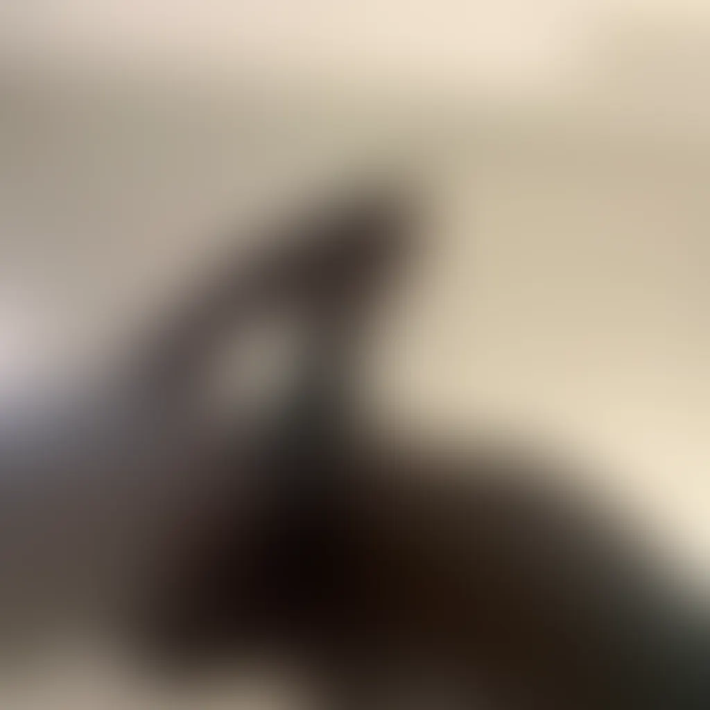 Slide image 4