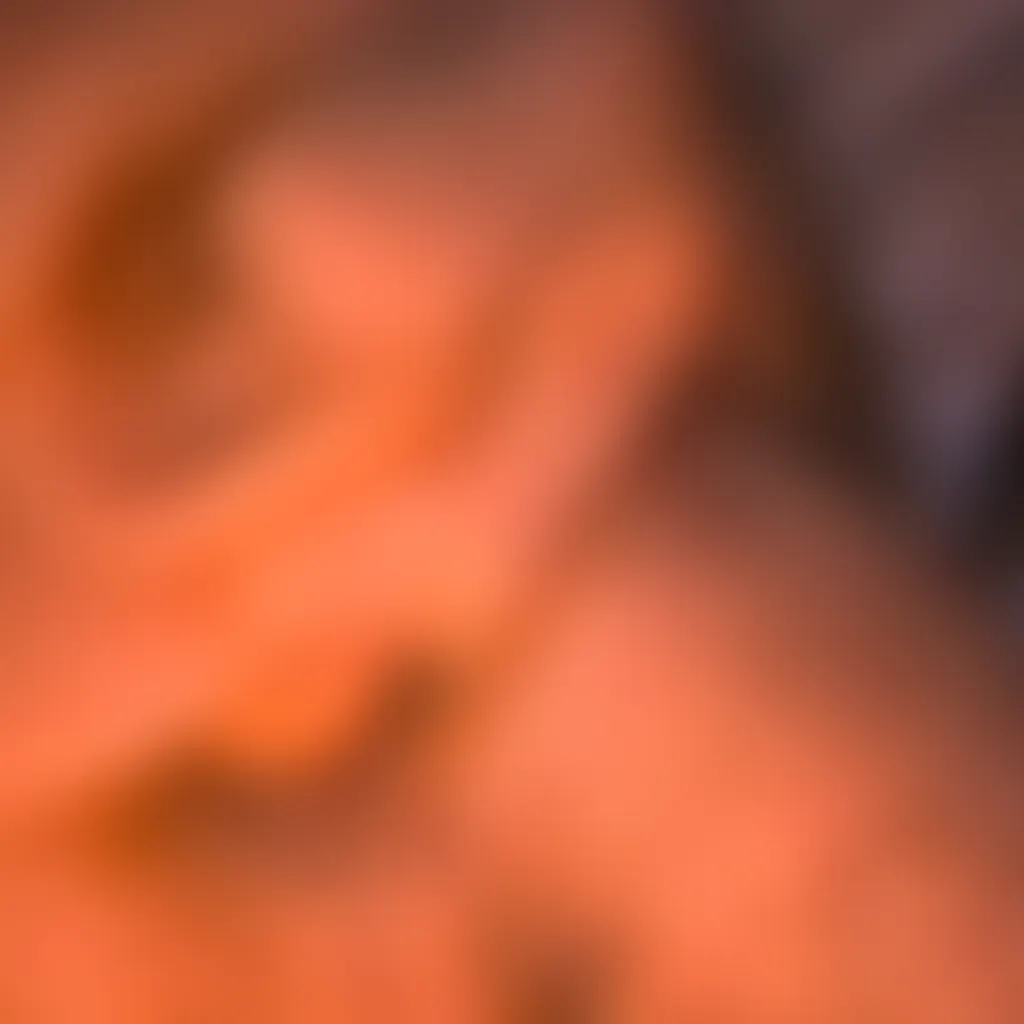 Slide image 3