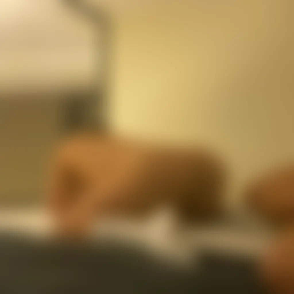 Slide image 1