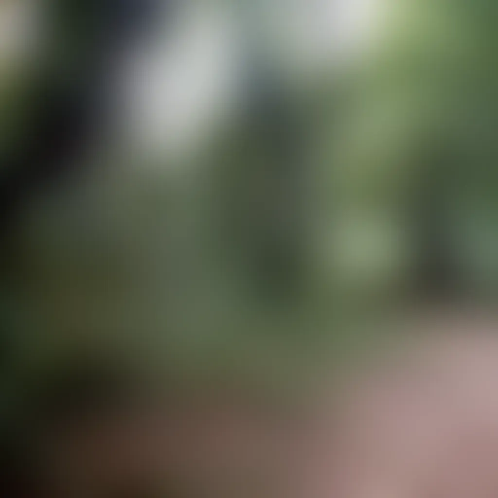 Slide image 9