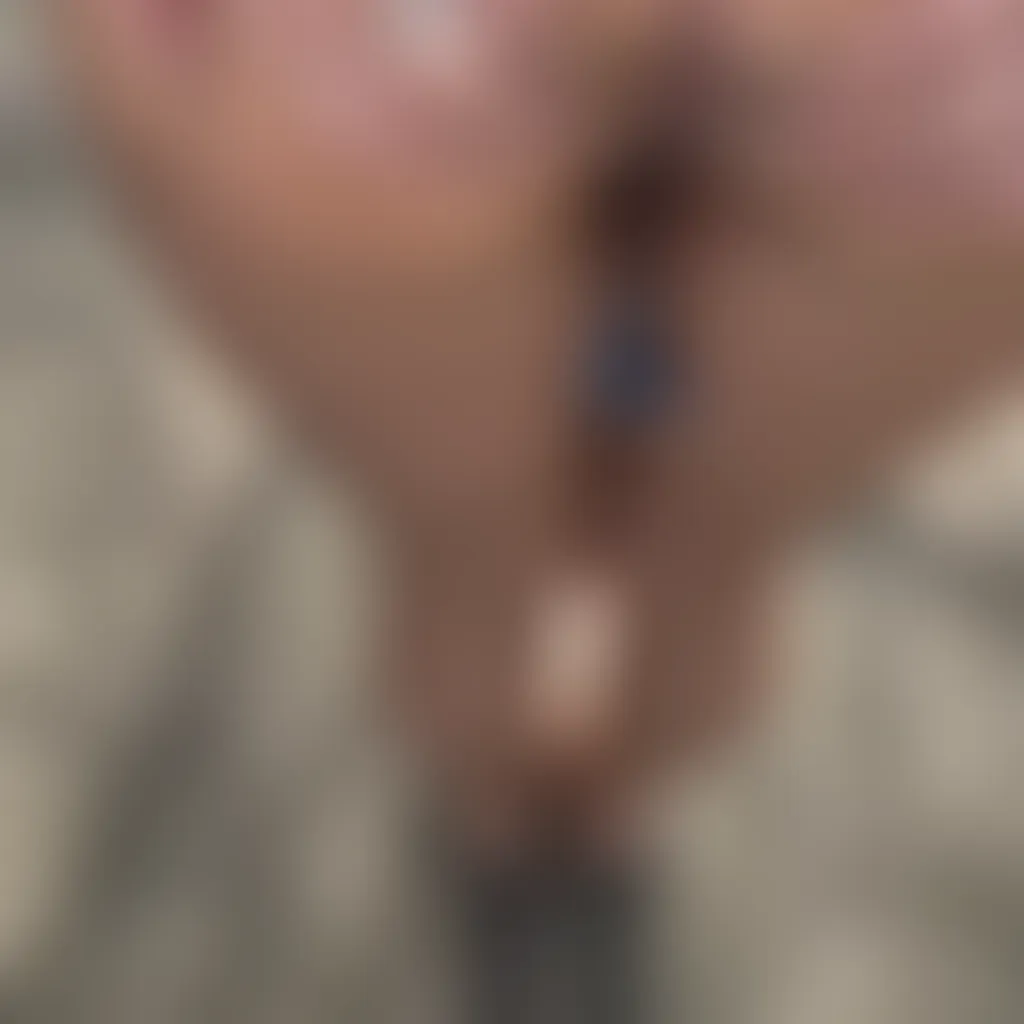 Slide image 1