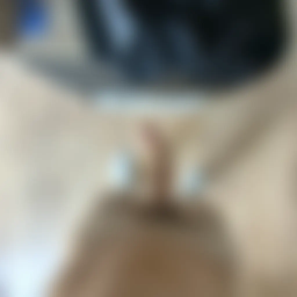 Slide image 1