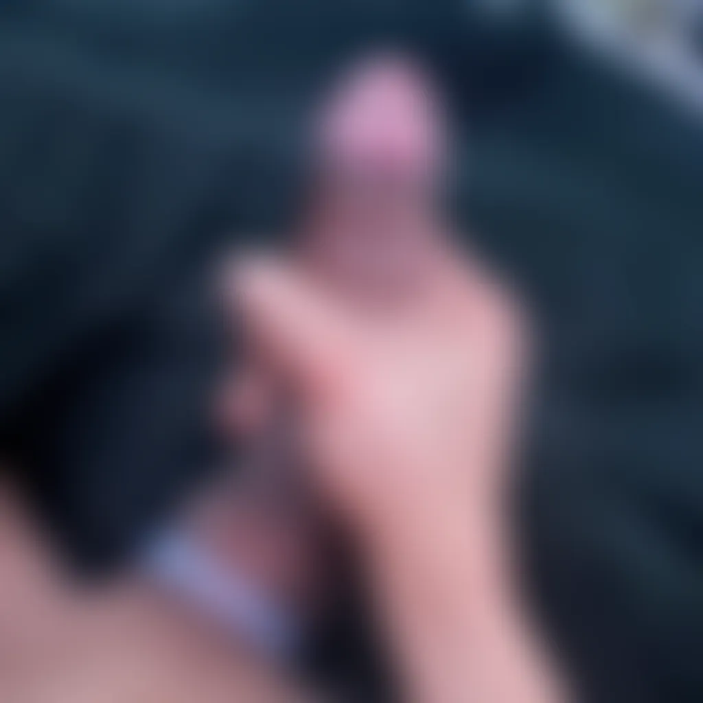 Slide image 2