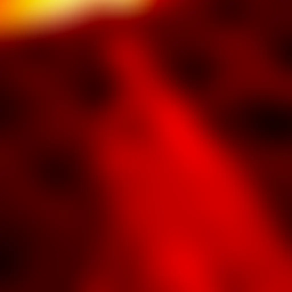 Slide image 5