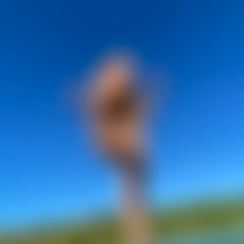 Slide image 4