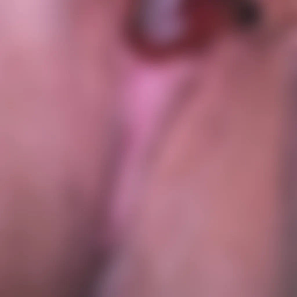 Slide image 6